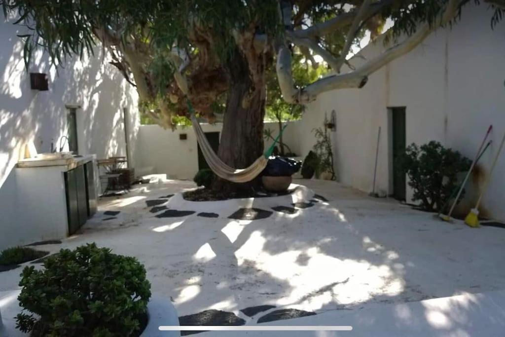 Lovely Studio In Original Finca La Asomada  Exterior foto